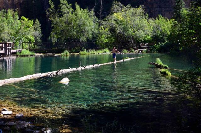 Fallen tree stretches into Hanging Lake