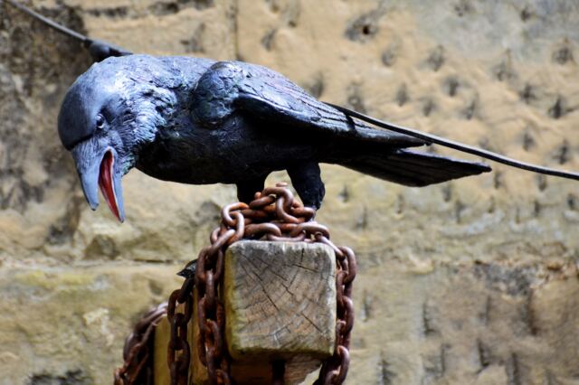 Warwick Castle - caw!