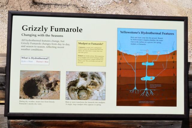 Grizzly Fumarole sign