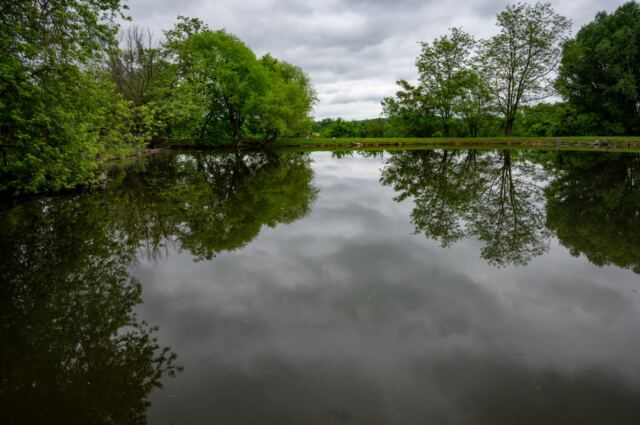 Pond reflections 1