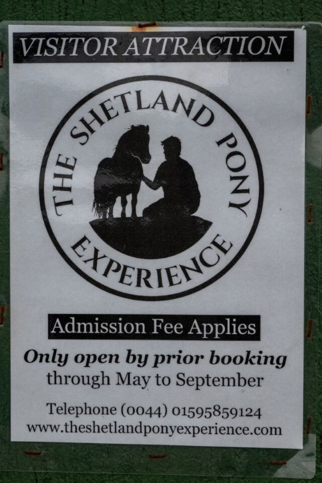 The Shetland Pony Experience 27