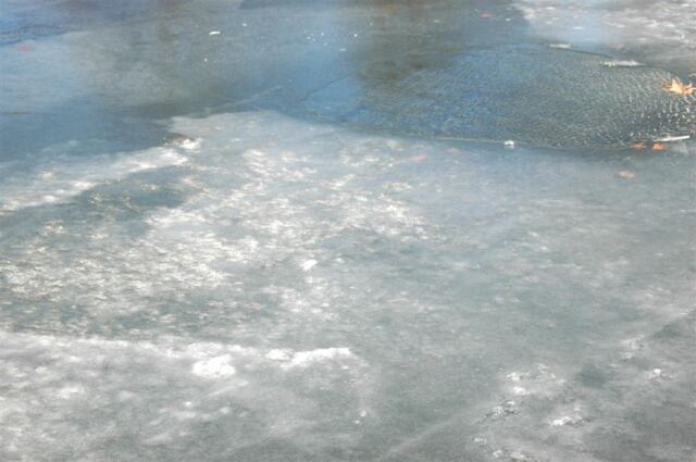 Ice on the pond (2)