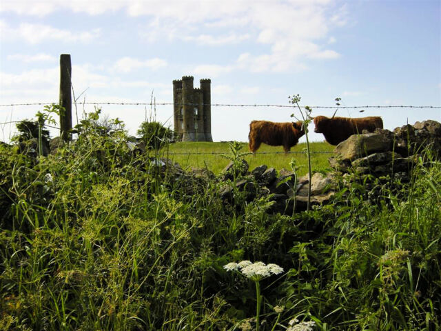 Broadway Tower and Highland Cattle (2)