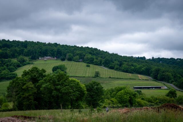 Hillside views 1