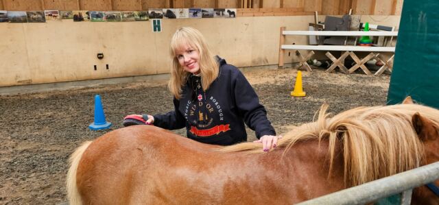 The Shetland Pony Experience 52