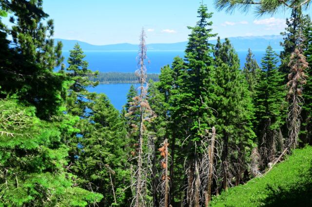Ridge above Fallen Leaf Lake 05