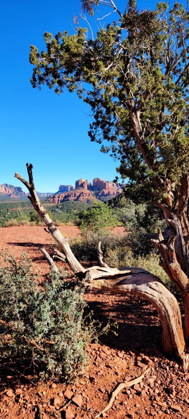 Cathedral Rock - vista views (01)