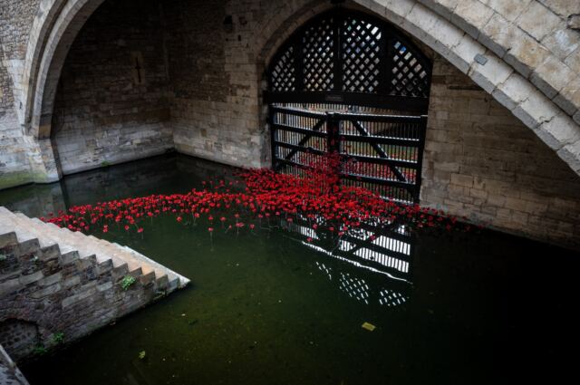 Tower of London poppies 02