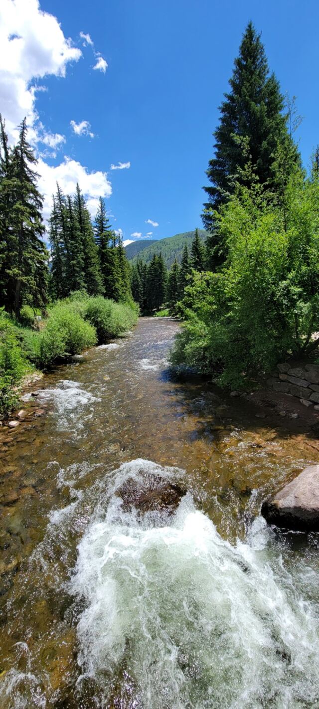 Gore Creek 08