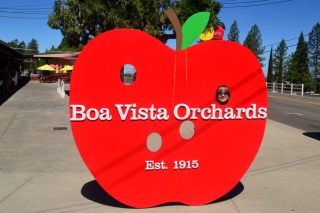 Kathy peeking through the Boa Vista sign
