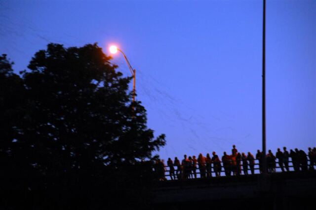 bats-start-flying