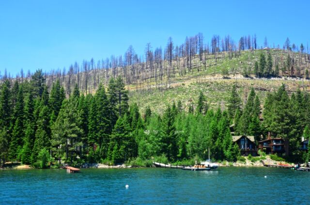 Sad remnants of a fire