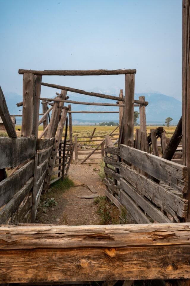 Mormon Row (10)
