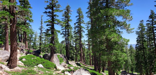 Angora Lake trail 01
