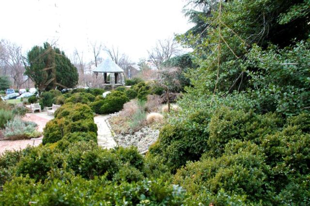 Bishop's garden