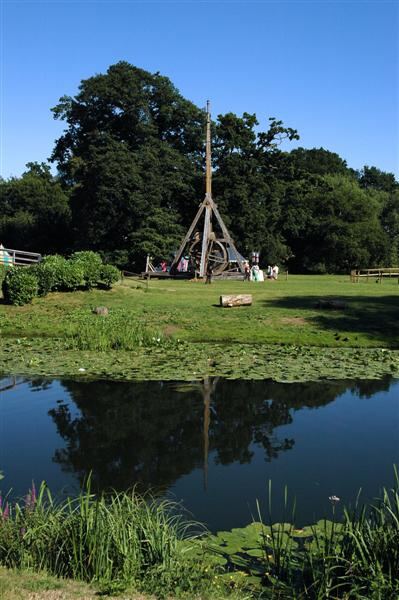 Trebuchet reflections