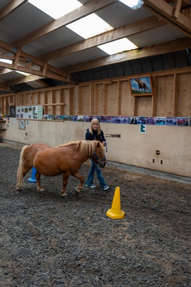 The Shetland Pony Experience 58