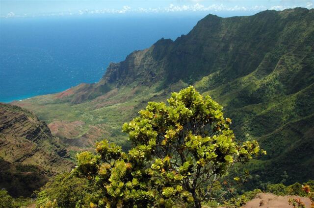 Kalalau Valley (28)