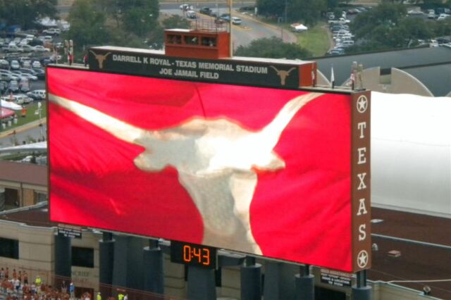Longhorn flag