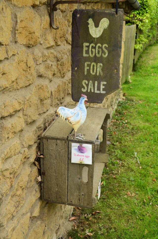 Ebrington eggs for sale (1)