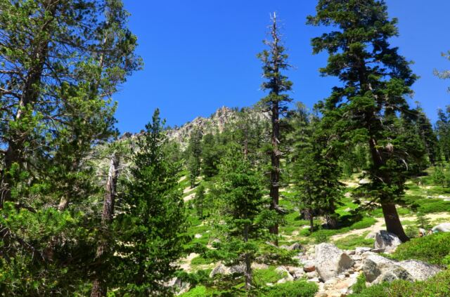 Angora Lake trail 05