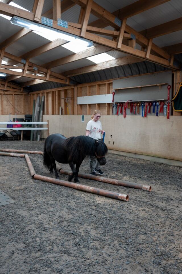 The Shetland Pony Experience 61