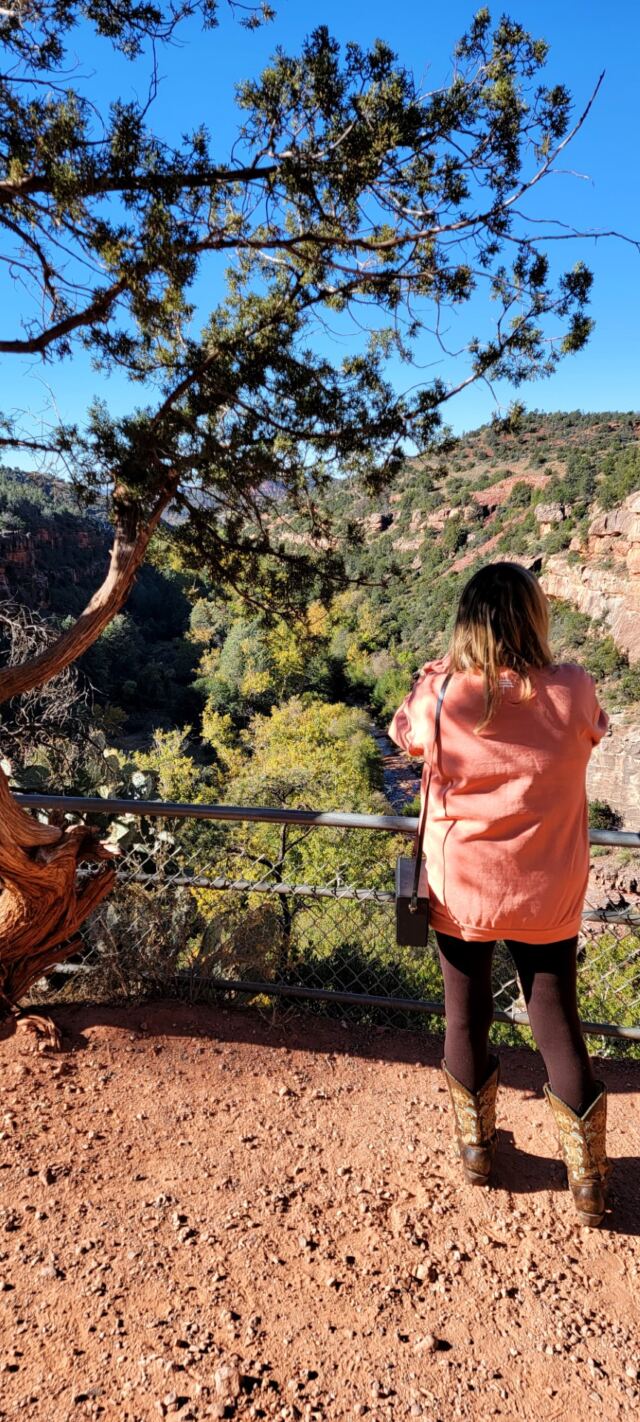 Oak Creek Canyon overlook (04)