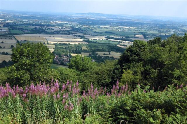 Malvern views (17)