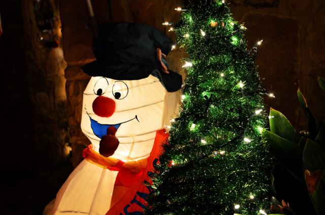 Outdoor-decorations-22