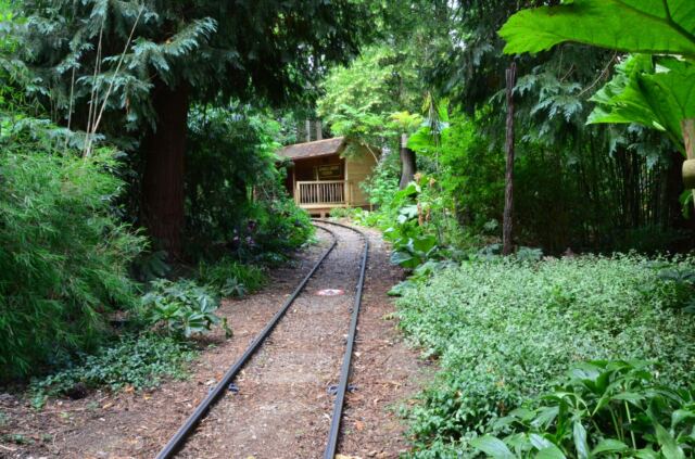 Cotswold Wildlife Park - train ride (6)