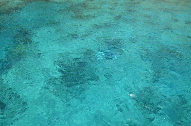 'Ginger's Backside' - dive-snorkel spot 6