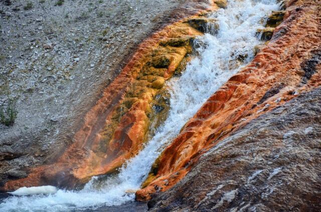 Excelsior Geyser runoff stream (3)