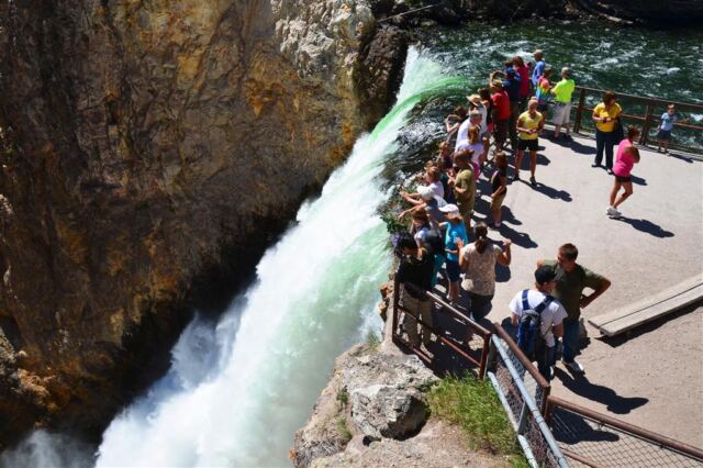 Crowd on Lower Falls overlook