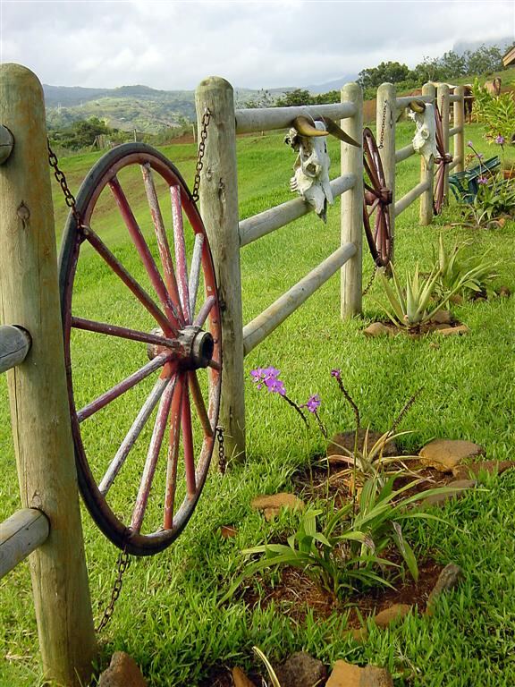Fence and flowers