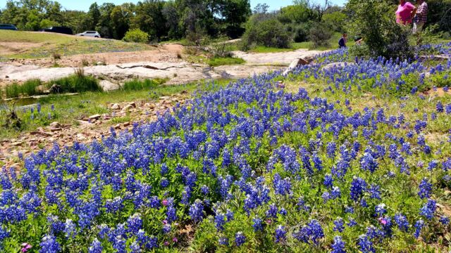 Willow Loop valley 20