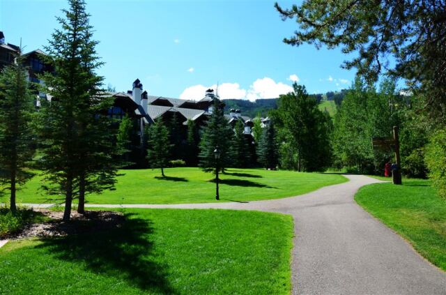 Walking path
