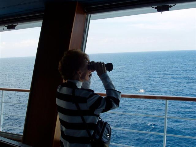 PO - Geri scans the sea