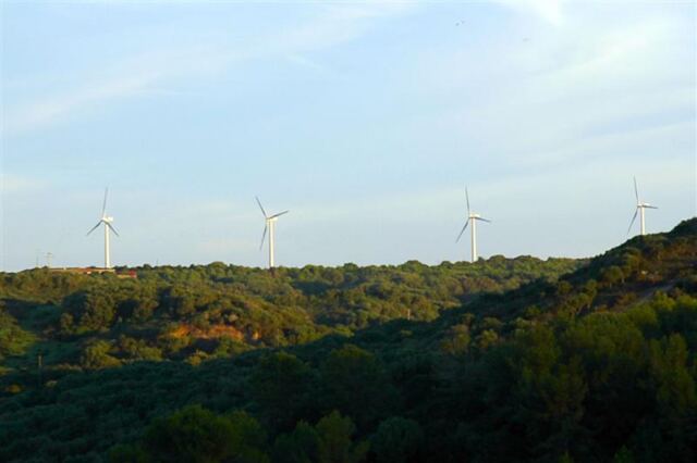 Windmills on distant hill