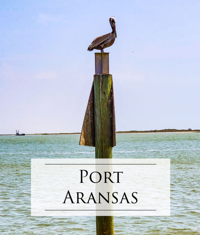 Port A Pelican