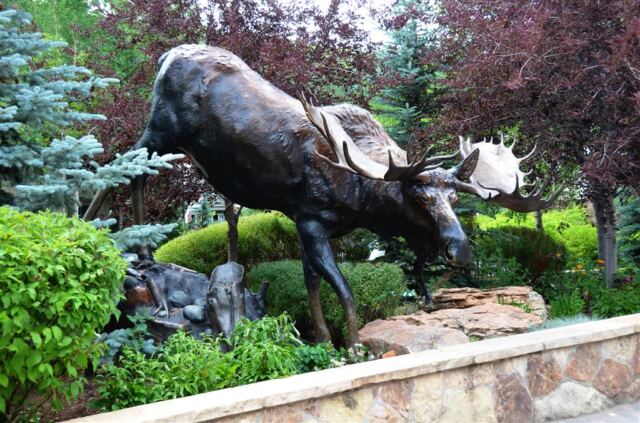 Moose, but no Squirrel