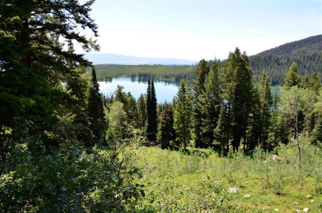 Our climb to Bradley Lake took us a little bit higher than Taggart Lake