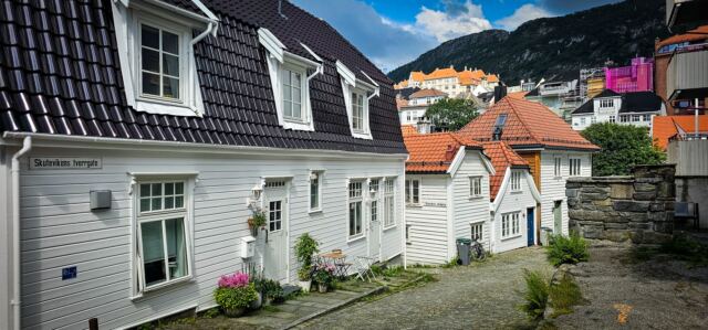 Bergen houses