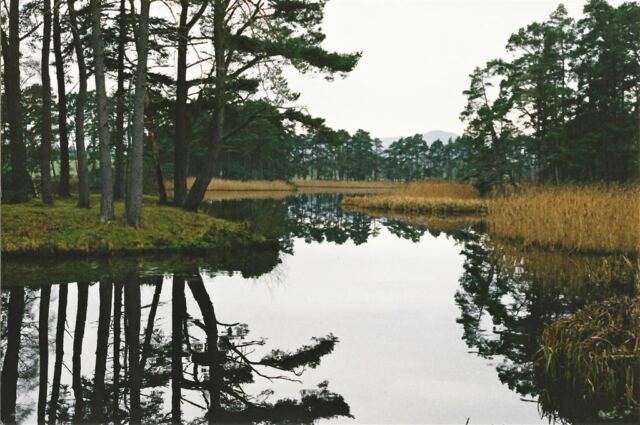 Skibo pond