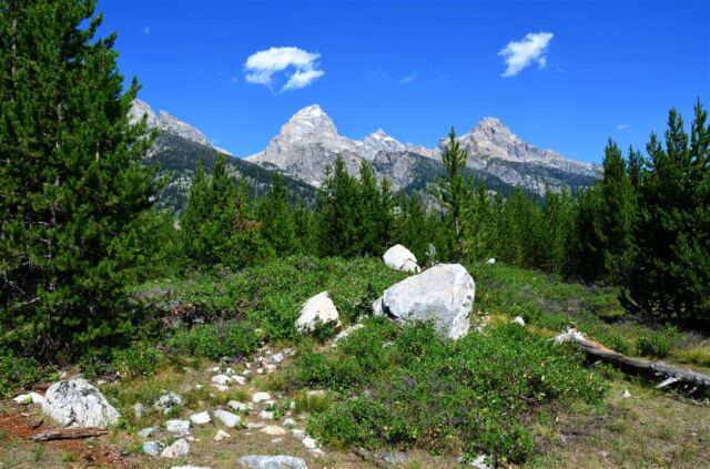 Tetons from the trail