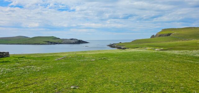 The Shetland Pony Experience 65