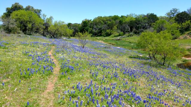 Willow Loop valley 4