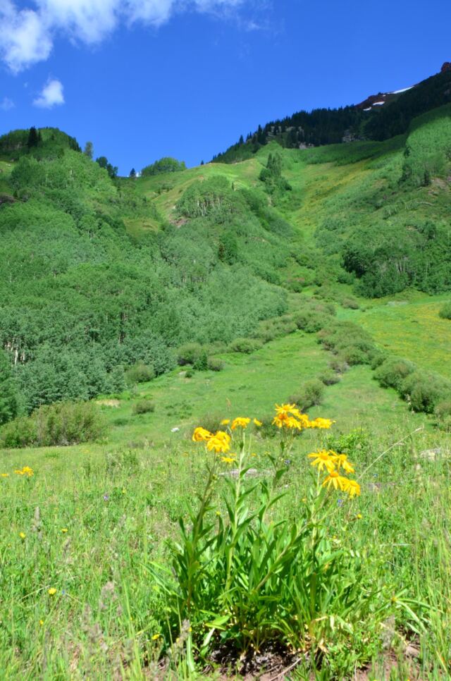 Maroon Bells - surrounding hills 05