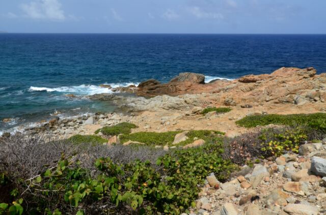 Coppermine Point scenery 1