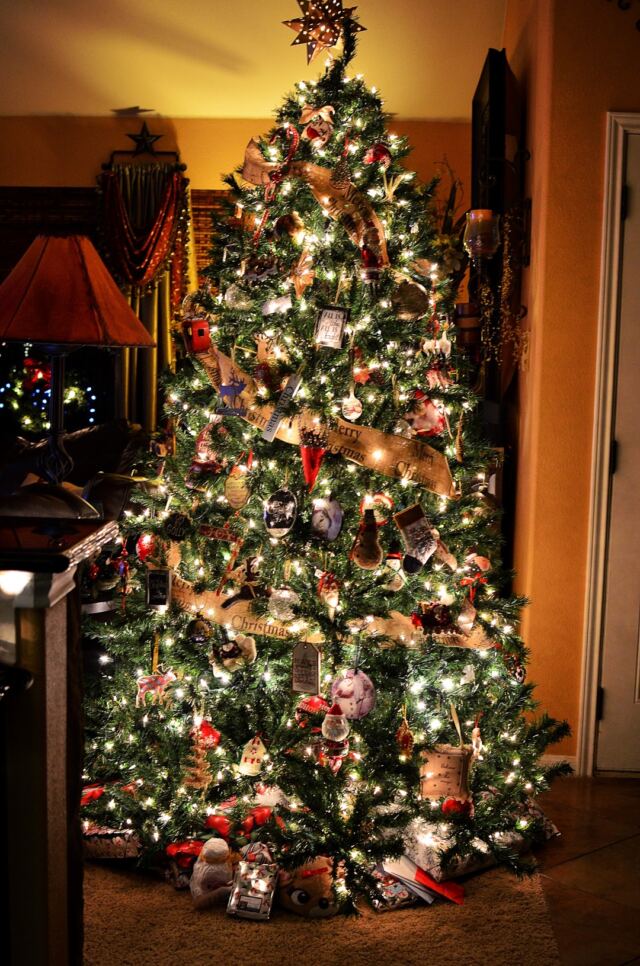 Main-tree-15