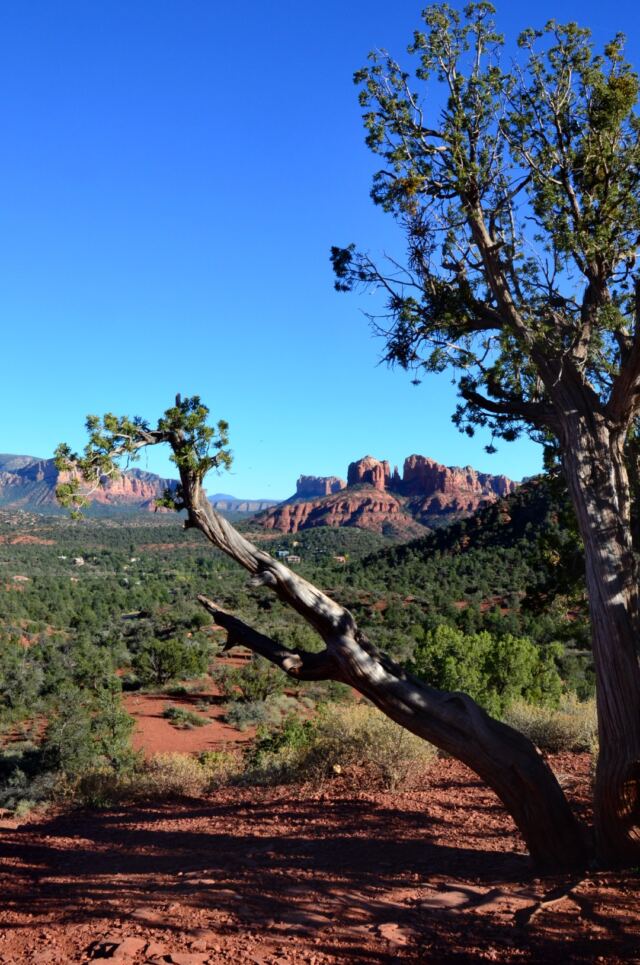 Cathedral Rock - vista views (12)